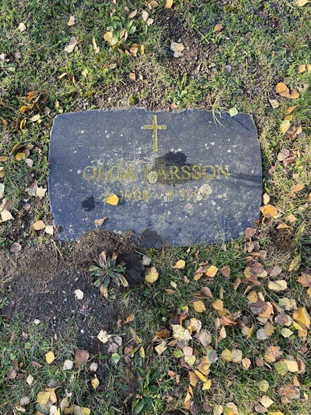 Grave number: VV 5   302, 303