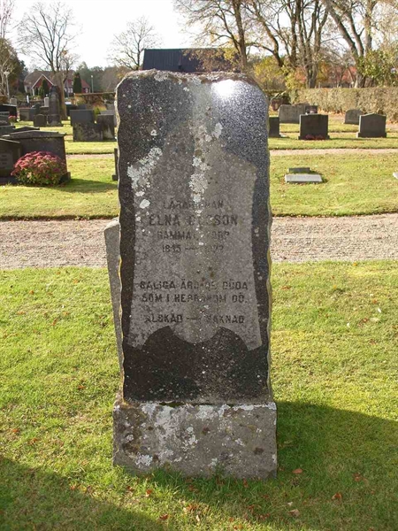 Grave number: FN T    31