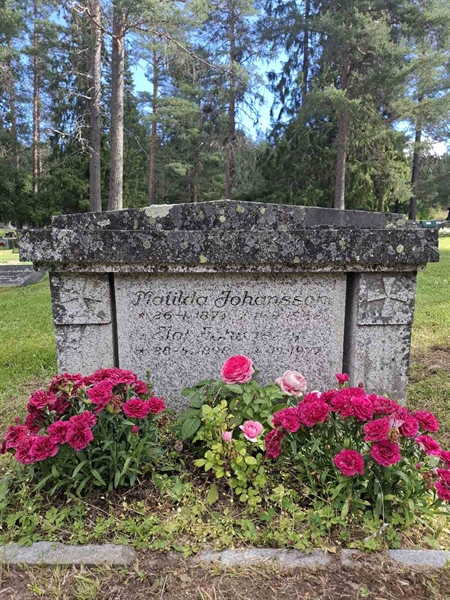 Grave number: 001 2   503