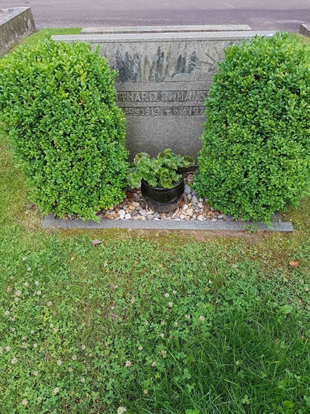 Grave number: 01   817