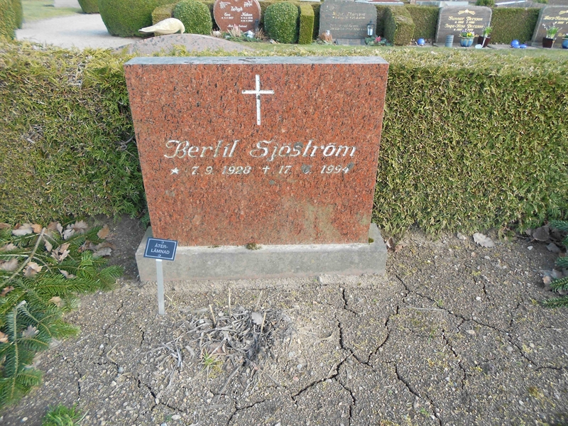 Grave number: V 40   246