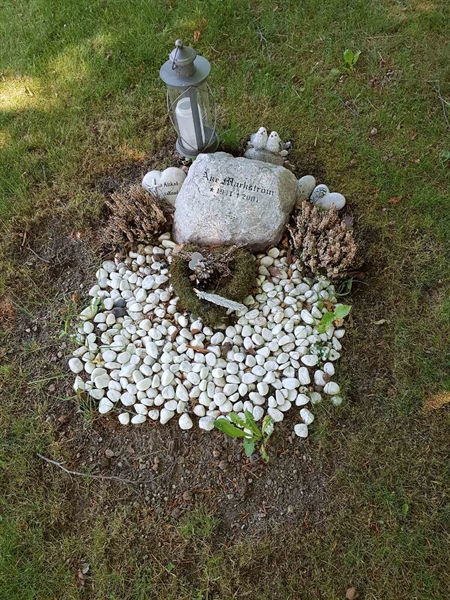 Grave number: 01  6549