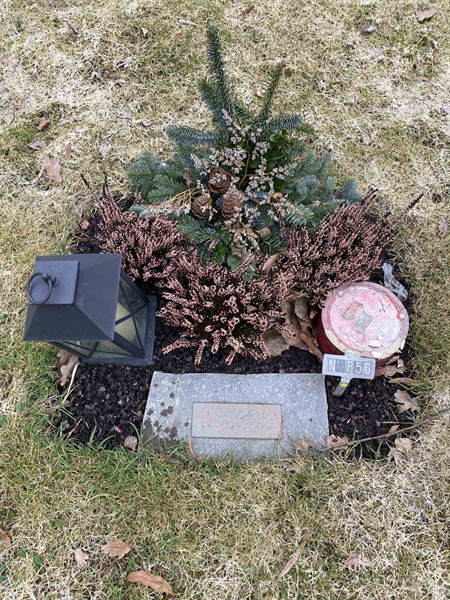 Gravnummer: 1 NA   856