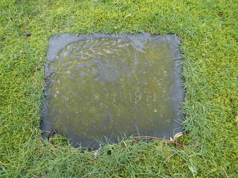 Grave number: BR G   272c