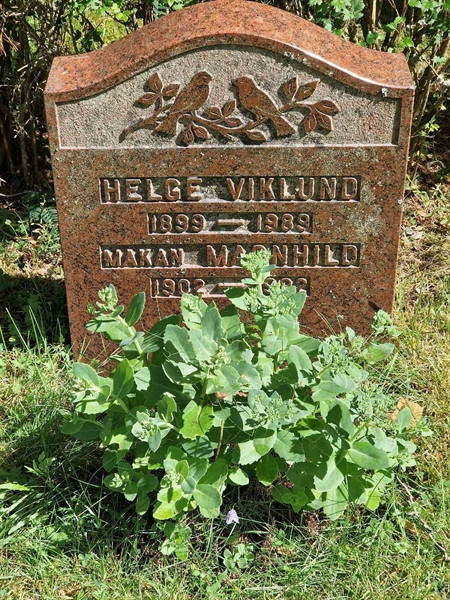 Grave number: 1 KV.8   312