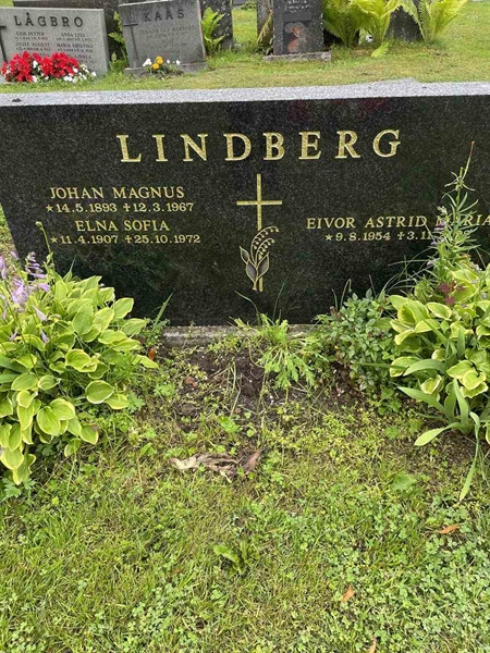 Gravnummer: N 4 4   531