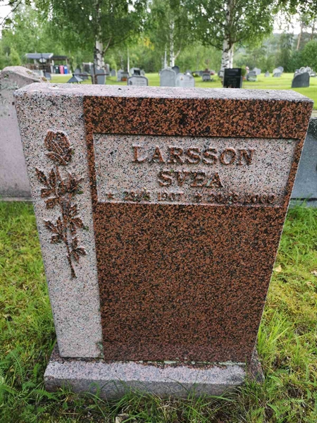 Hautatunnus: NK 17    18