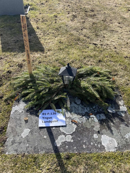 Hautatunnus: 01 F   120