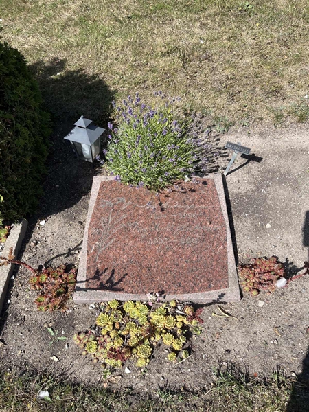 Grave number: NK XX:u   169