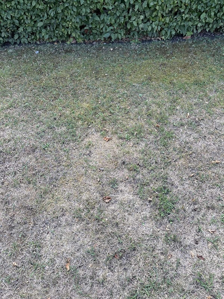 Grave number: NK I:u    11