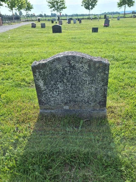 Grave number: D G 3   231a