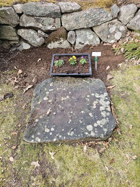 Grave number: Fr 5   877