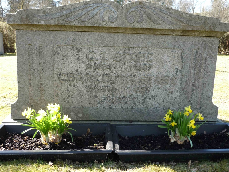 Grave number: ÖD 04   81, 82, 83