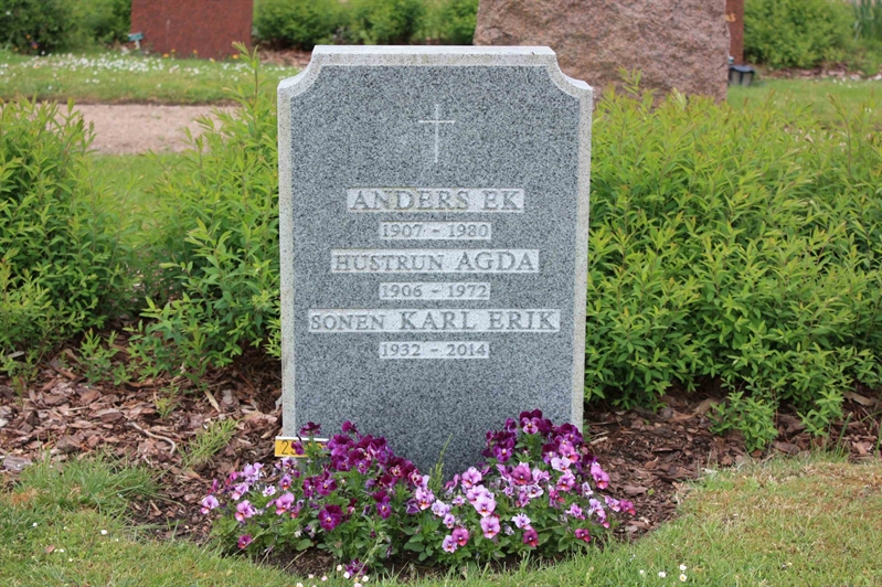 Grave number: Ö 29   221