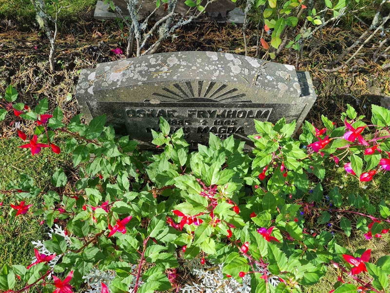 Grave number: Ö IV D  144