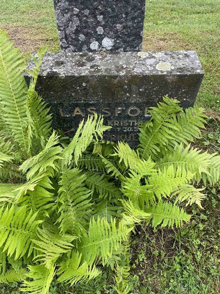 Gravnummer: N 4 4   549