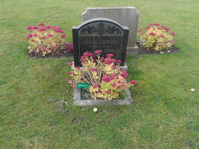 Grave number: ÖV C    14