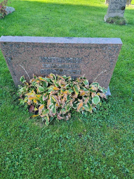 Grave number: KG 09   602, 603