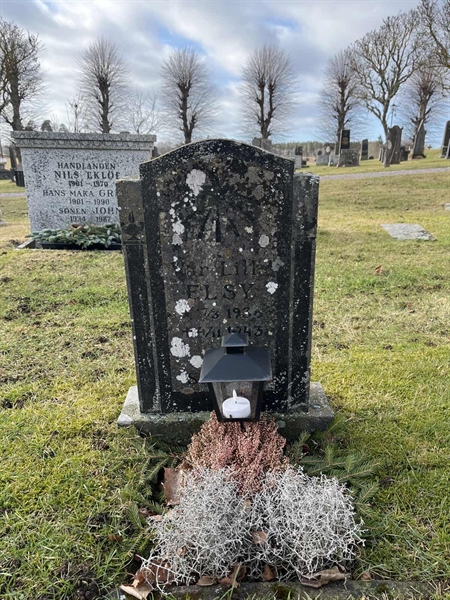 Gravnummer: HA L    63