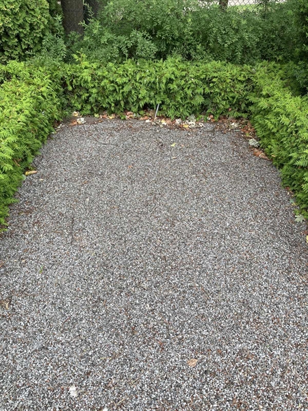 Grave number: NK IX   227