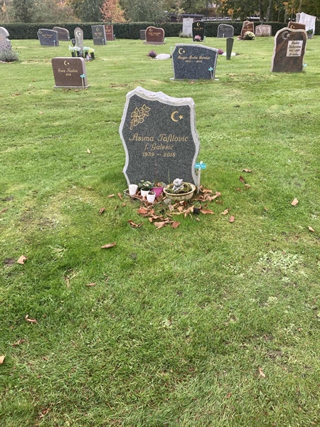 Hautatunnus: 1 3 M/Be    73-74