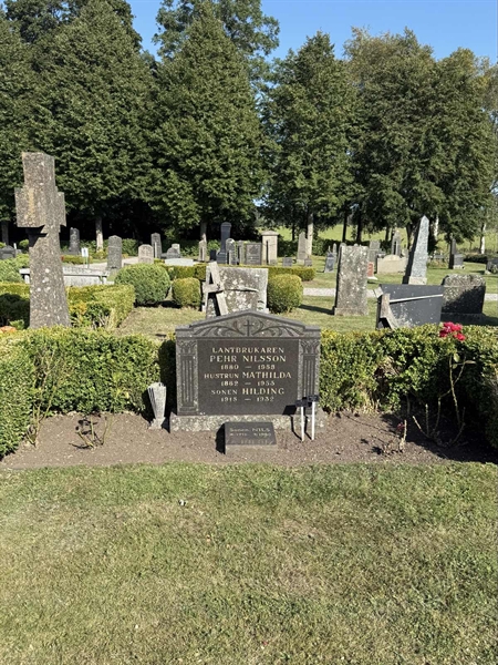 Hautatunnus: AN 8    22