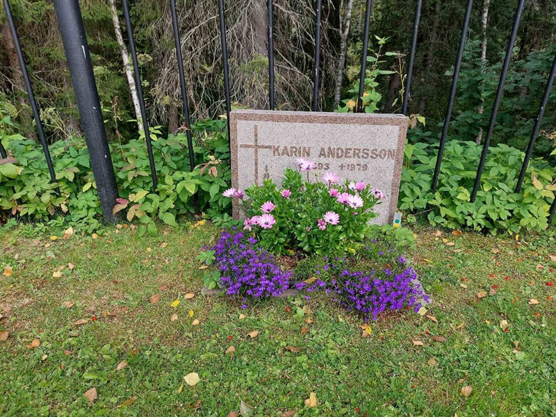 Grave number: FÖ 5   300