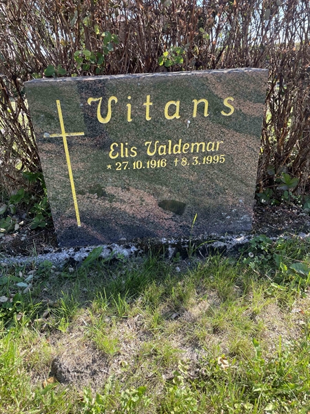 Hautatunnus: N 8 1    20