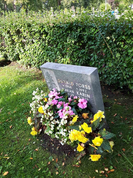 Gravnummer: NK F D    54