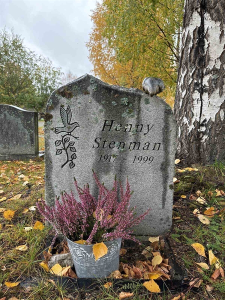 Hautatunnus: NK 17    93