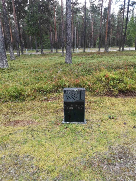 Hautatunnus: VLM 06     6:1