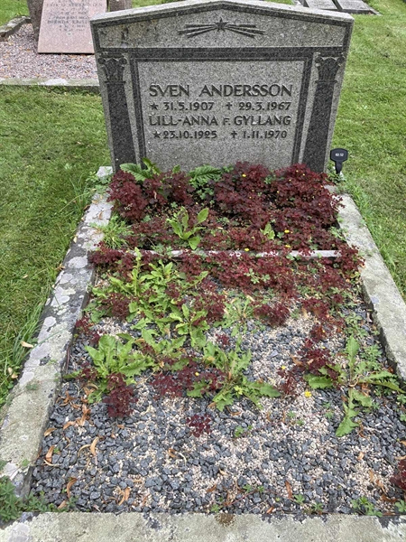 Grave number: 1 02    52