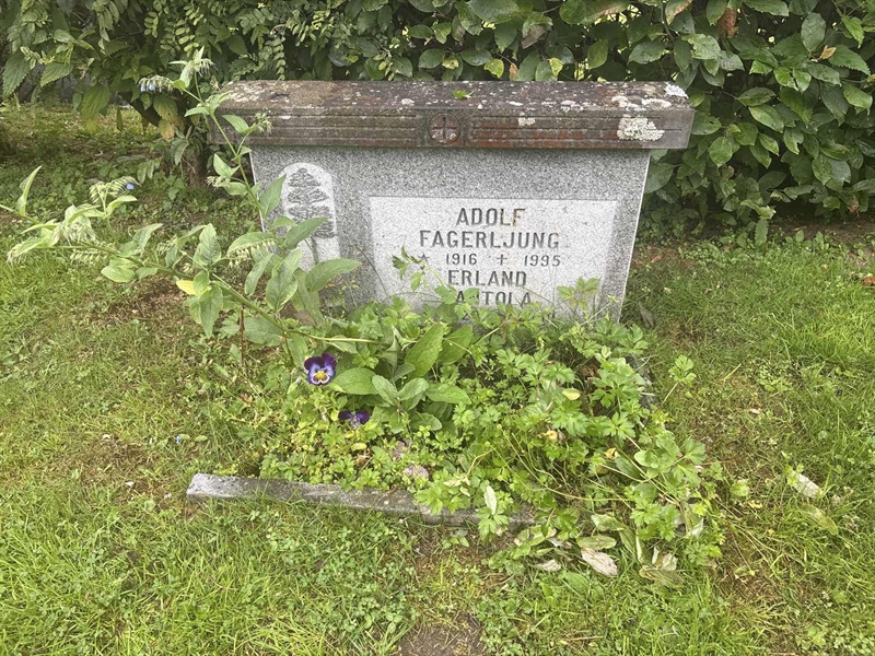 Grave number: 002 2   599