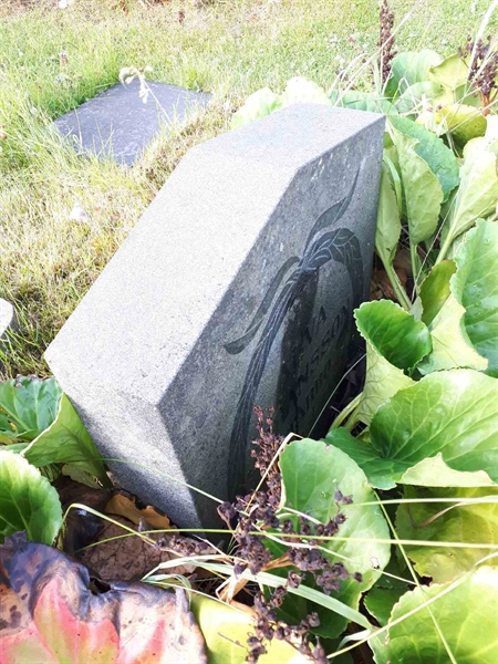 Gravnummer: GK A 5   320M