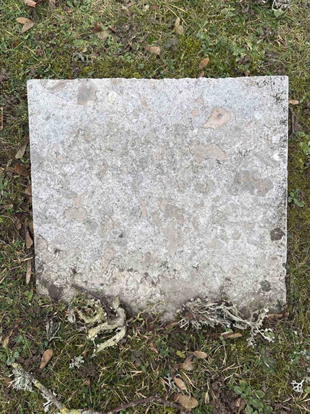 Gravnummer: LE   582