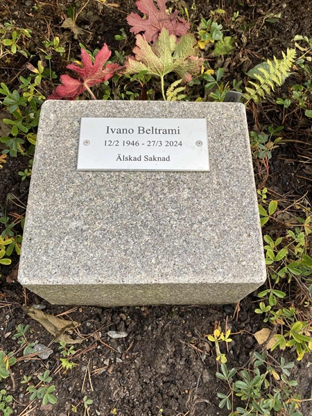 Gravnummer: 2 B     3