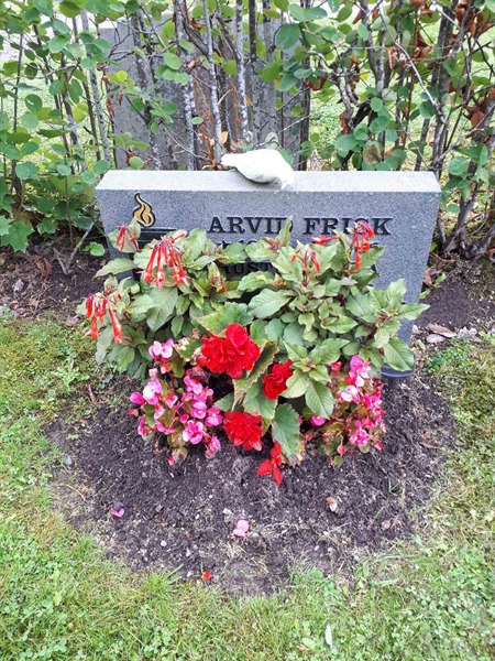 Gravnummer: NK F A   198