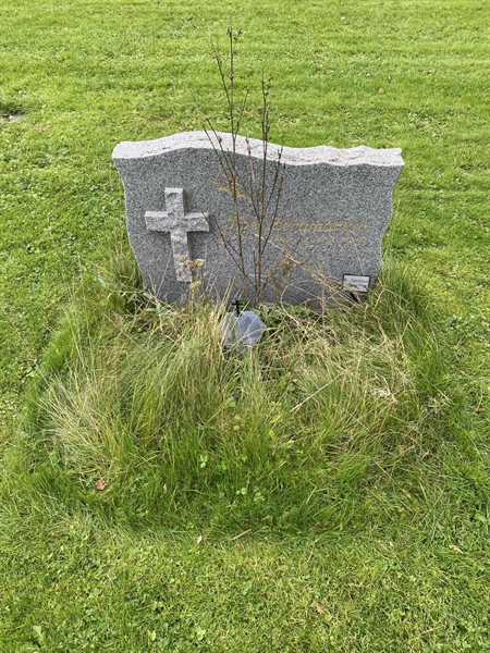 Hautatunnus: 2 C    31