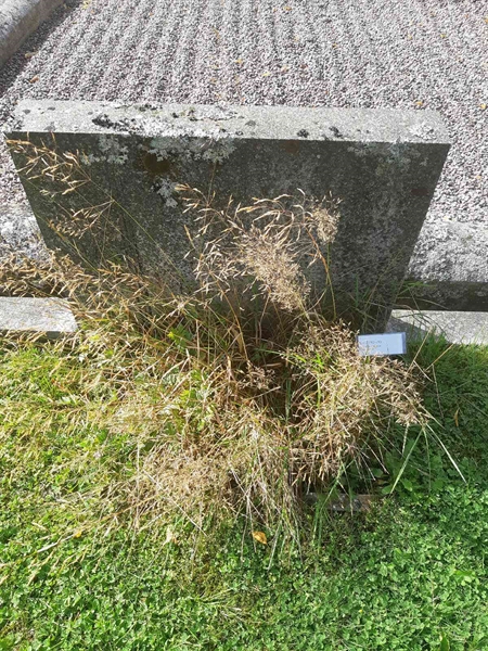 Hautatunnus: Fr 2 192-193