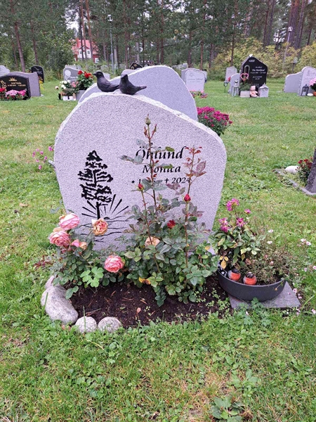 Grave number: 2 Q  2767