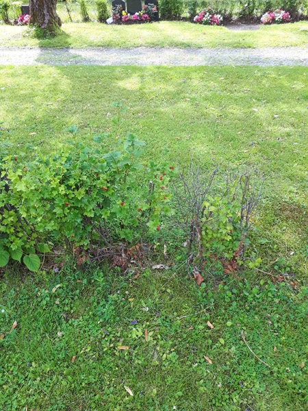 Hautatunnus: GK A 4    38H