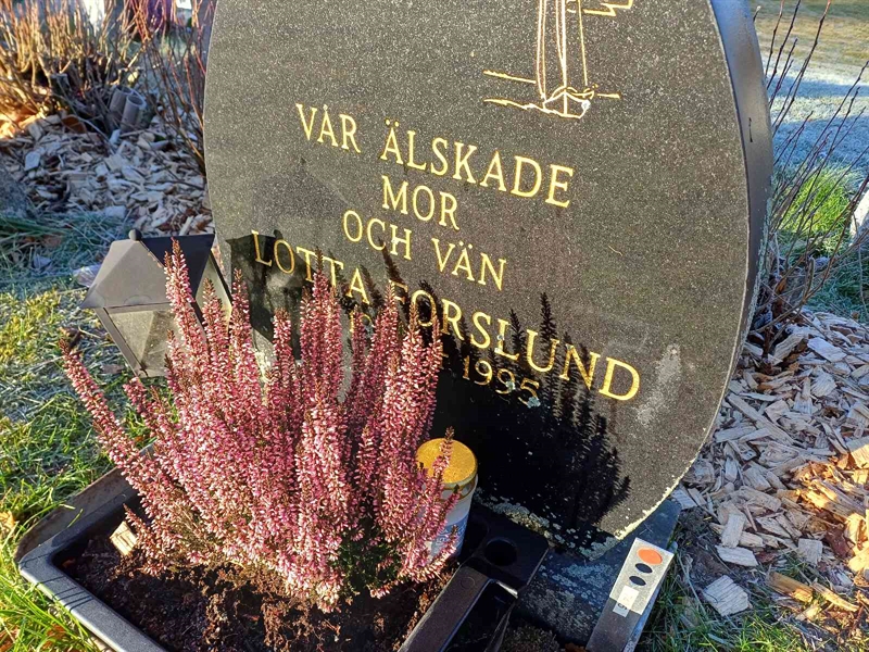 Grave number: JÄ 3 7435