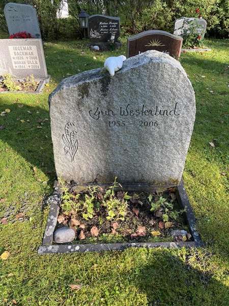 Hautatunnus: 30ST HÄGG    20