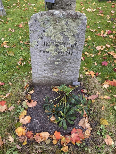 Gravnummer: 1 H   216