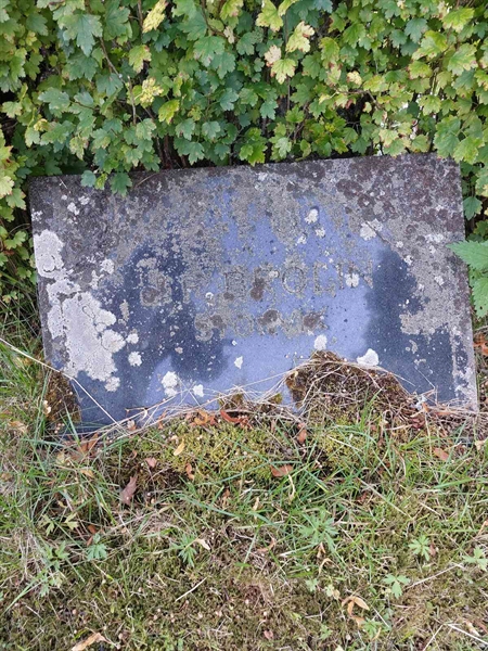 Hautatunnus: 1 D   111