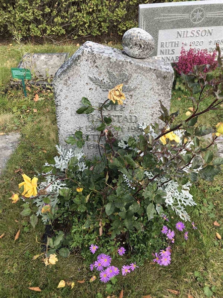 Grave number: ÅR U1    18