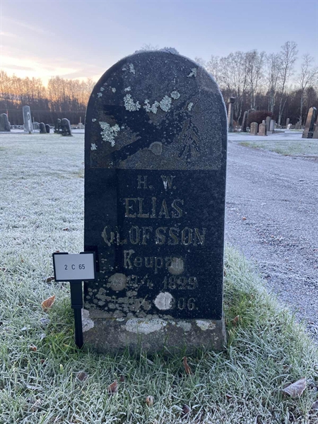 Gravnummer: 2 C    65