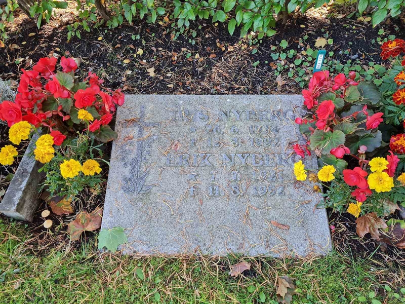 Grave number: Ö II Nu  174
