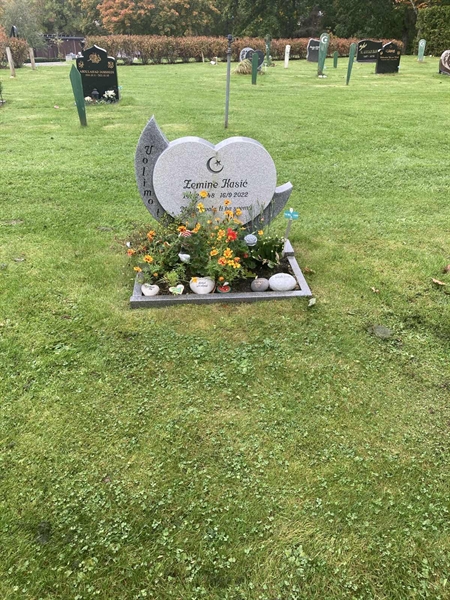 Hautatunnus: 1 3 M/Be   109