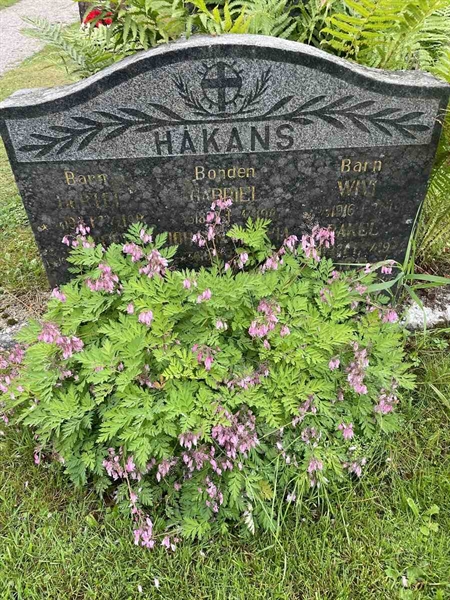 Gravnummer: N 4 4   488